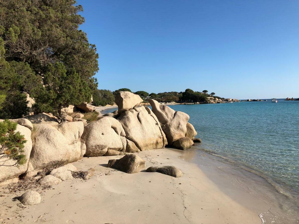 Villa Orethaga Porto Vecchio Esterno foto