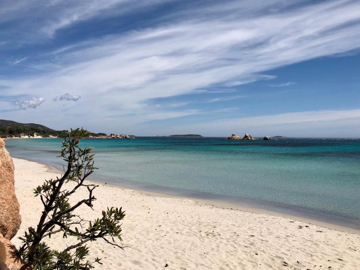 Villa Orethaga Porto Vecchio Esterno foto